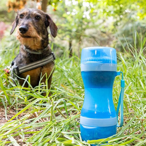 Fľaša pre domáce zviera 2 v 1 InnovaGoods Pettap
